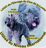 SITE WEB ELEVAGE DU CLOS DE LA LUETTE SPECIALISE POUR LE BOUVIER DES FLANDRES &copy; COPYRIGHT DEPOSE